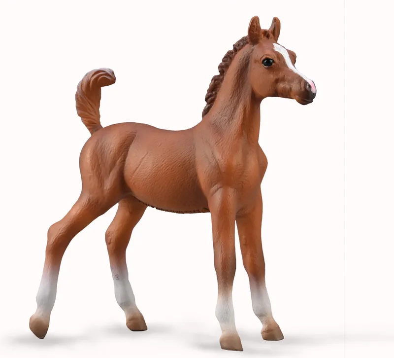 Figurine - Arabisch Veulen - 1:20 från Collecta i Brun – produktbild