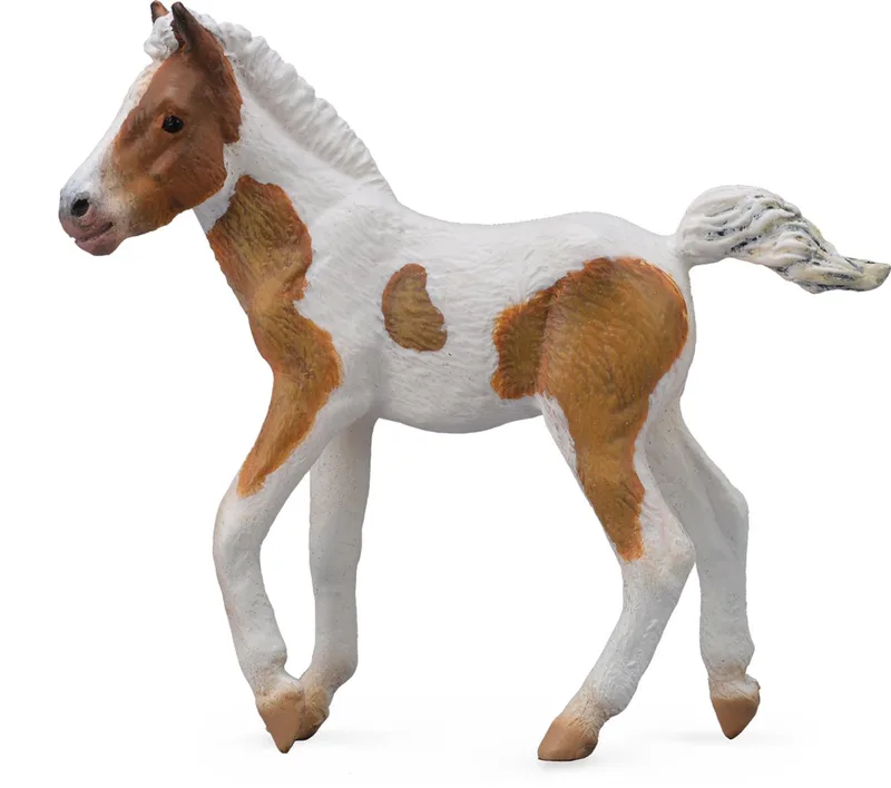 Figurine - Dartmoor Hill Veulen - (M) - Paarden - Handgeschilderd - Miniatuur by Collecta in Brown – product photo