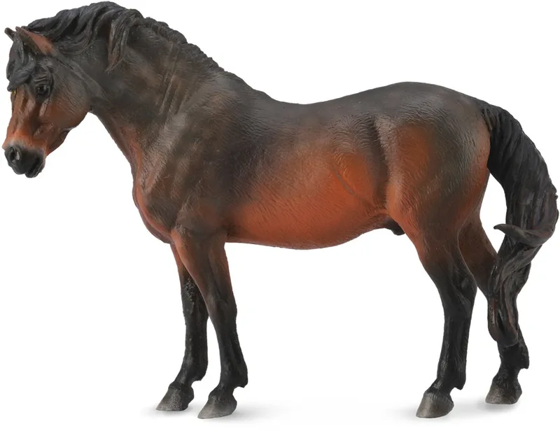 Figurine - Dartmoor Pony Voskleurig - (L) - Paarden - Handgeschilderd - Miniatuur de Collecta en Marron – photo du produit