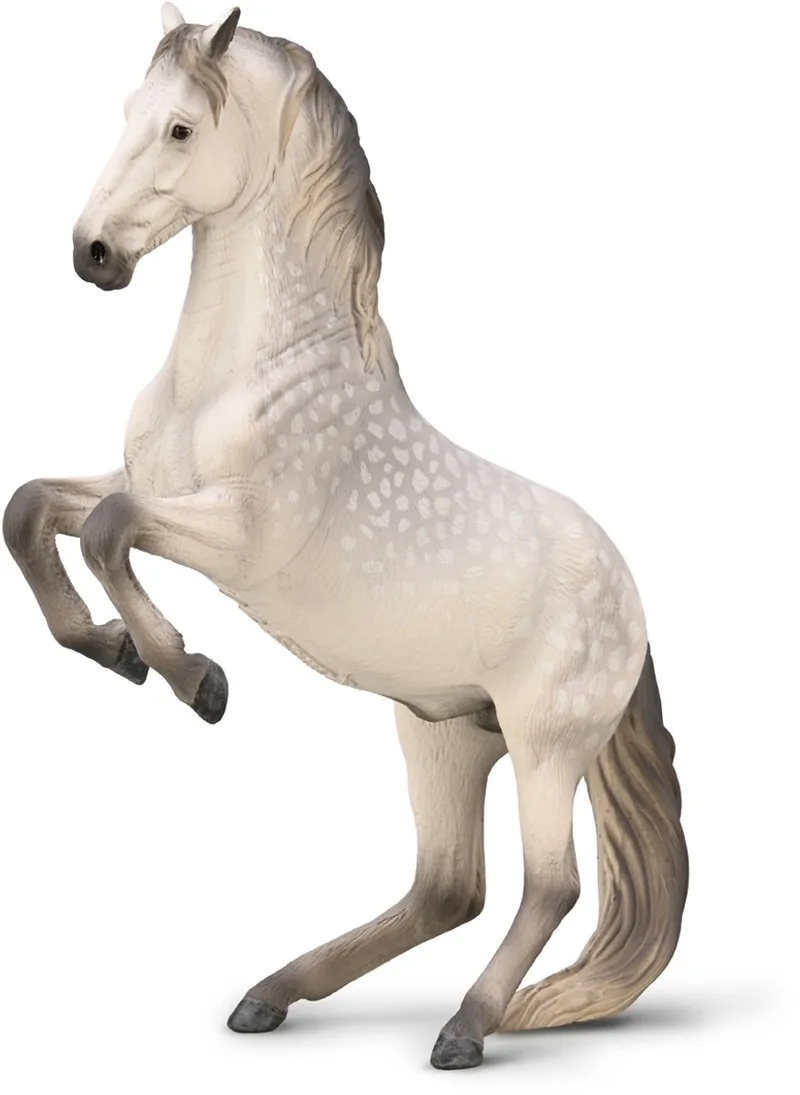 Figurine - Lipizzaner Hengst - (Xl) - Paarden - Handgeschilderd - Miniatuur van Collecta in Meerkleurig – productfoto