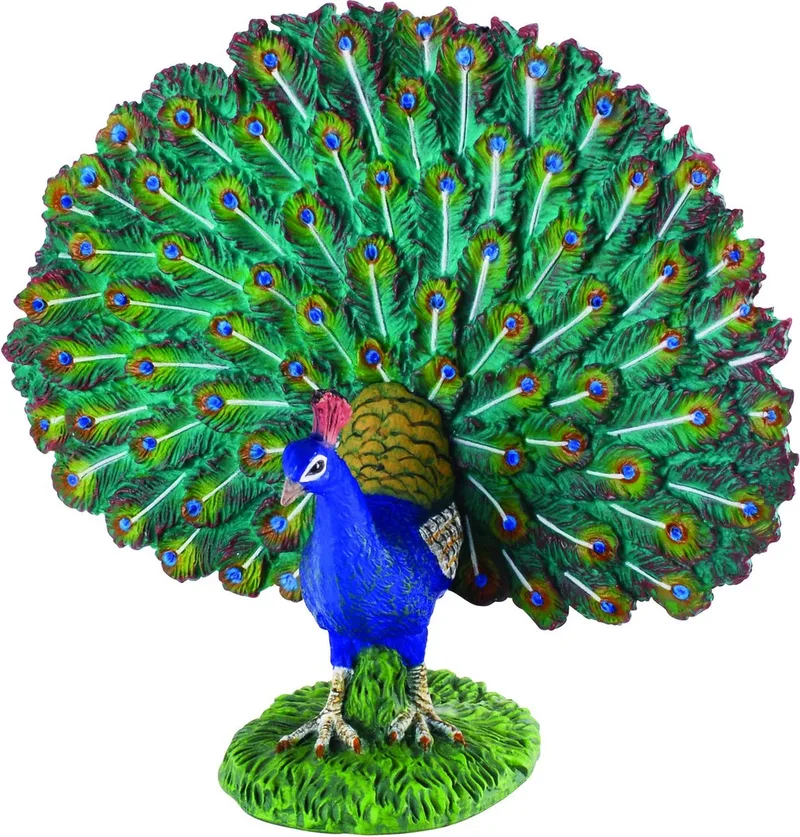 Figurine - Pauw - (L) - Boerderijdieren - Handgeschilderd - Miniatuur de Collecta en Multicolore – photo du produit