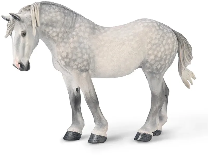 Figurine - Percheron Merrie Grijs - (Xl) - Paarden - Handgeschilderd - Miniatuur van Collecta in Wit – productfoto