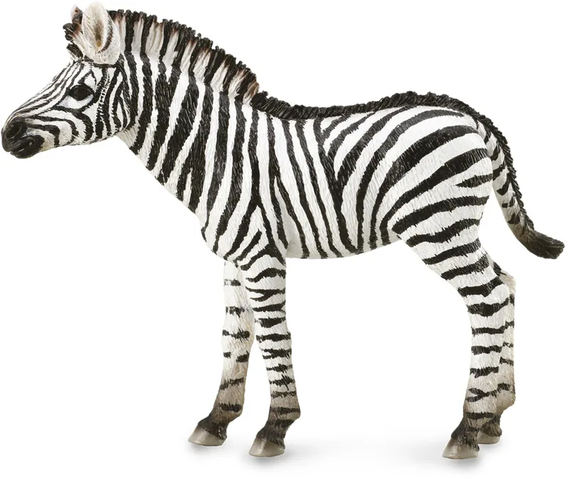 Figurine - Zebra Veulen - (M) - Wilde Dieren - Handgeschilderd - Miniatuur van Collecta in Zwart – productfoto