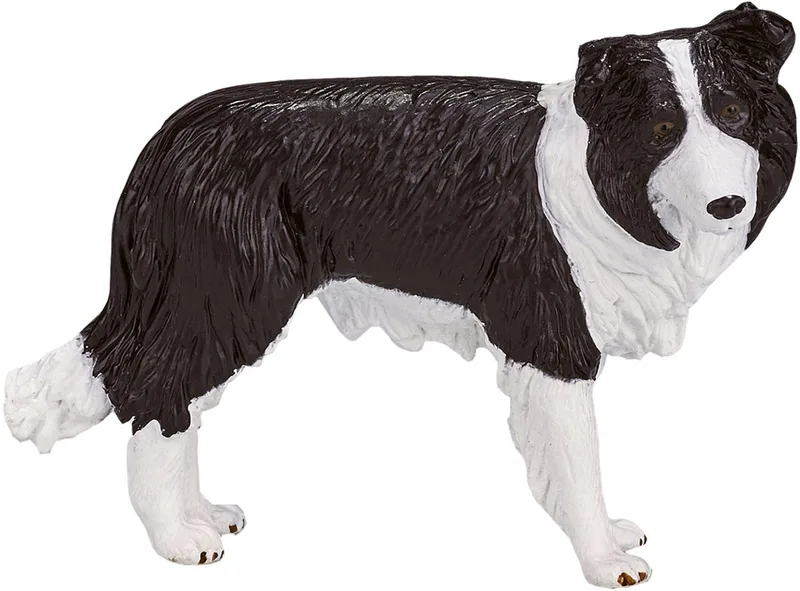 Farmland Border Collie von Mojo in Schwarz, Weiß – Produktfoto