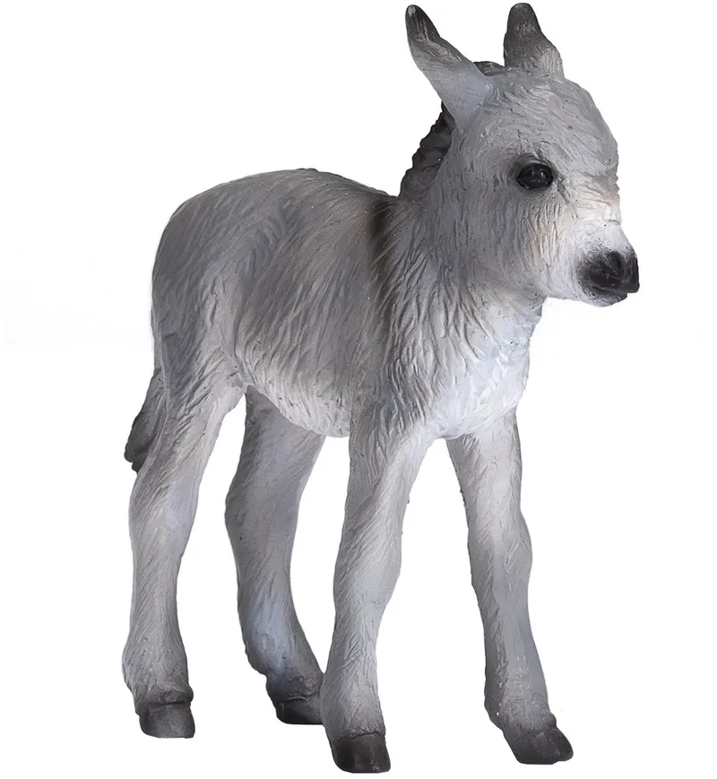 Farmland Donkey Foal - 387398 von Mojo in Weiß – Produktfoto