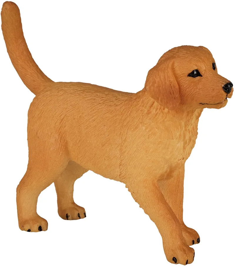 Farmland Golden Retriever Puppy von Mojo in Goudbruin – Produktfoto