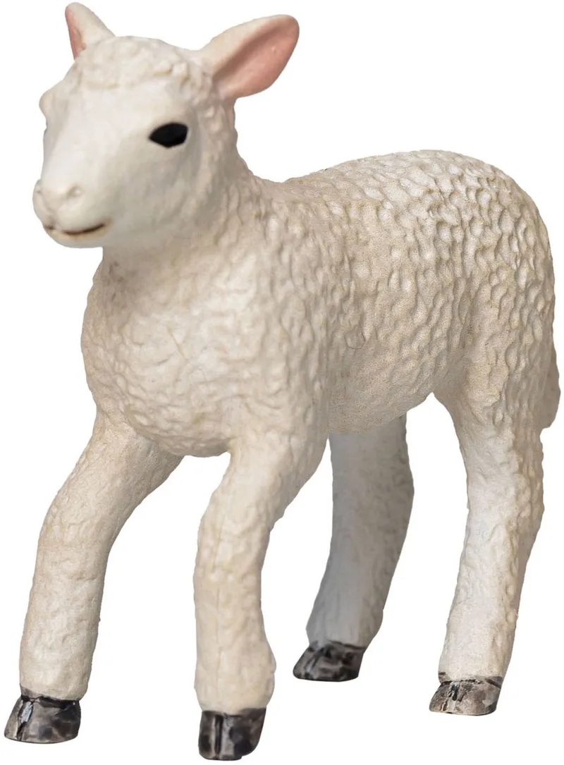Farmland Romney Lamb Running von Mojo in Mehrfarbig – Produktfoto