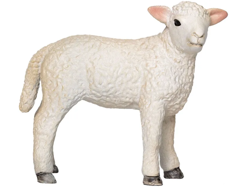 Farmland Romney Lamb Standing - 381065 von Mojo in Mehrfarbig – Produktfoto