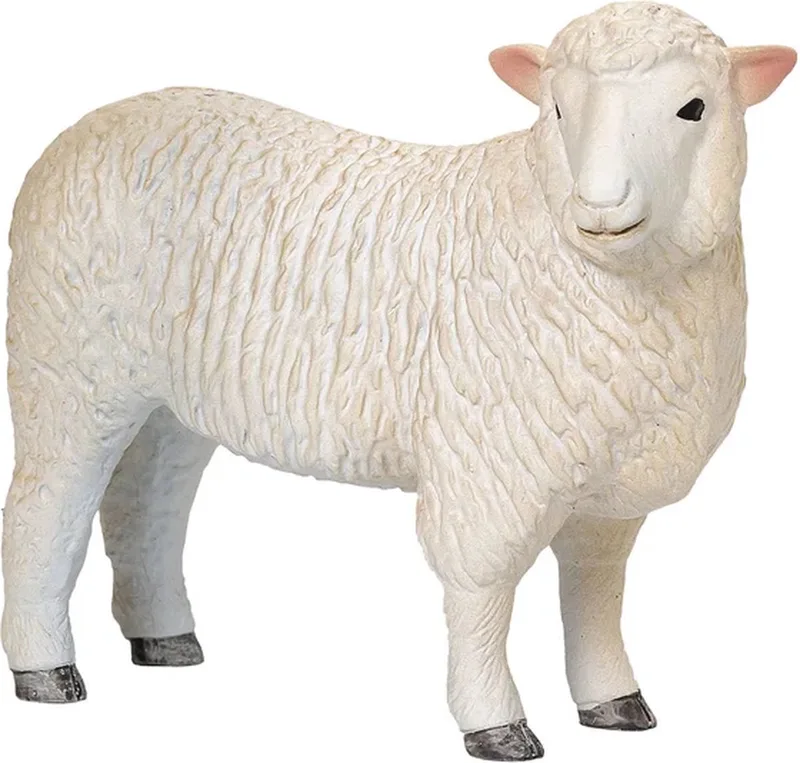 Farmland Romney Schaap Ooi - 381064 fra Mojo i Flerfarvet – produktbillede