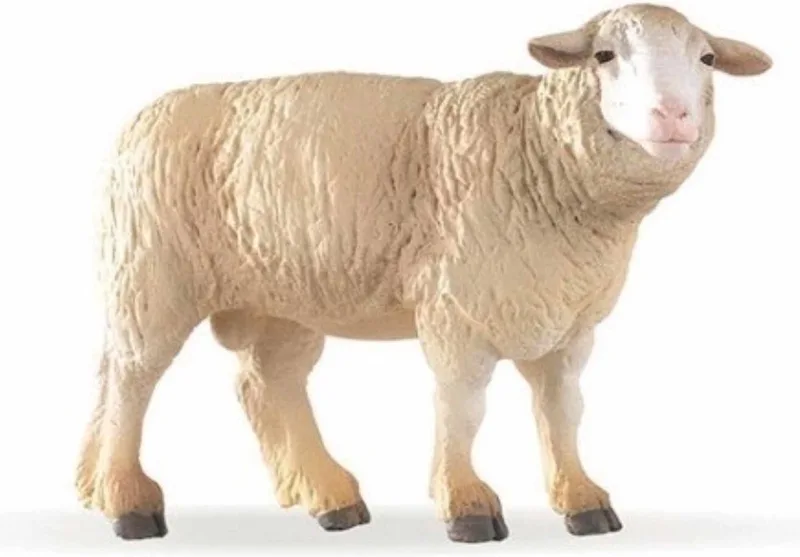Speelfiguur - Boerderijdier - Schaap - Merino de Papo en Multicolore – photo du produit