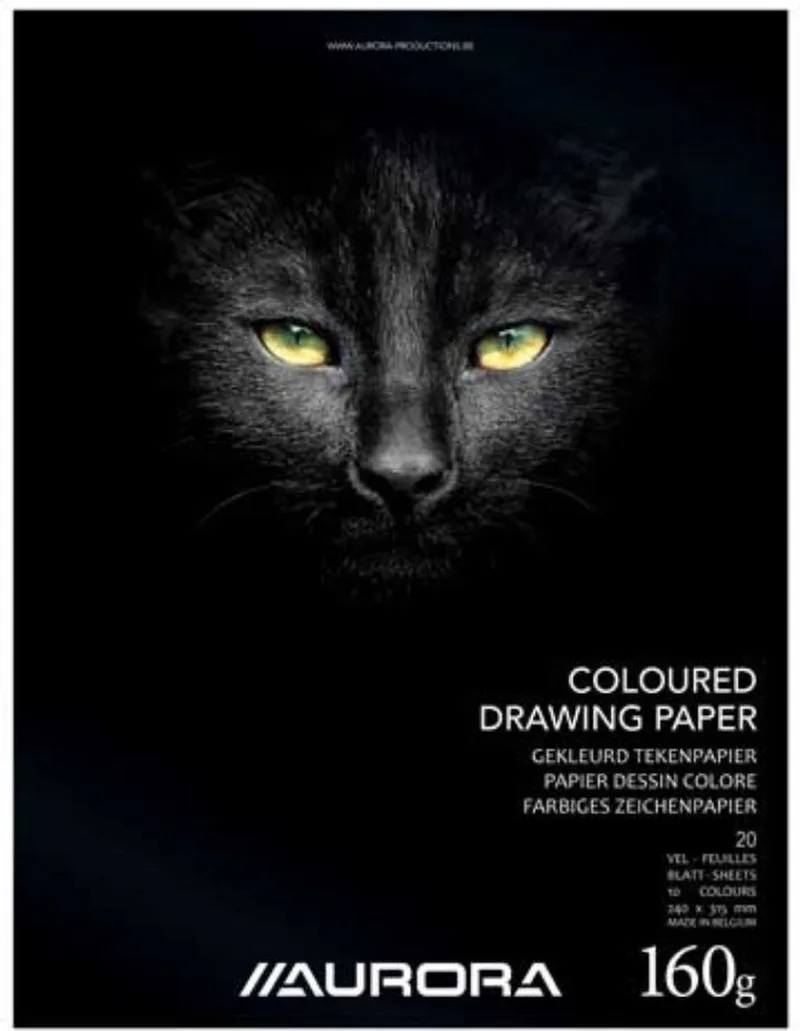 Tekenblok - Gekleurd Tekenpapier - 240 mm x 315 mm - 160g - 20 vel von Aurora in Gemengd – Produktfoto