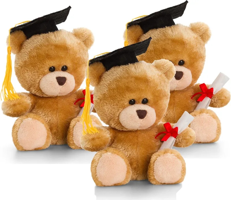 Keeleco - Pluche knuffel beer - 10x- geslaagd - diploma - bruin - 15 cm van Keel Toys in Meerkleurig – productfoto