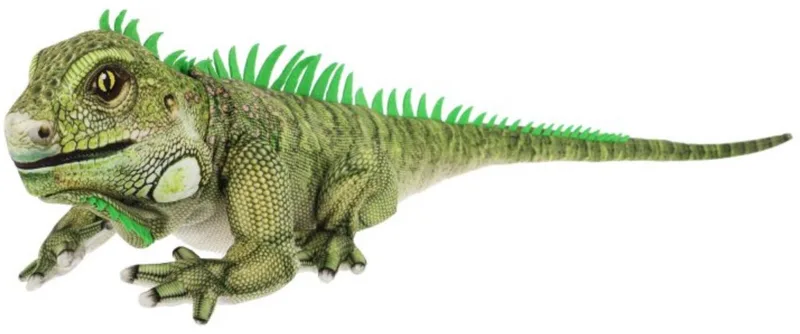 XL Leguaan - 65 cm - Dieren knuffelbeesten van Keel Toys in Groen – productfoto
