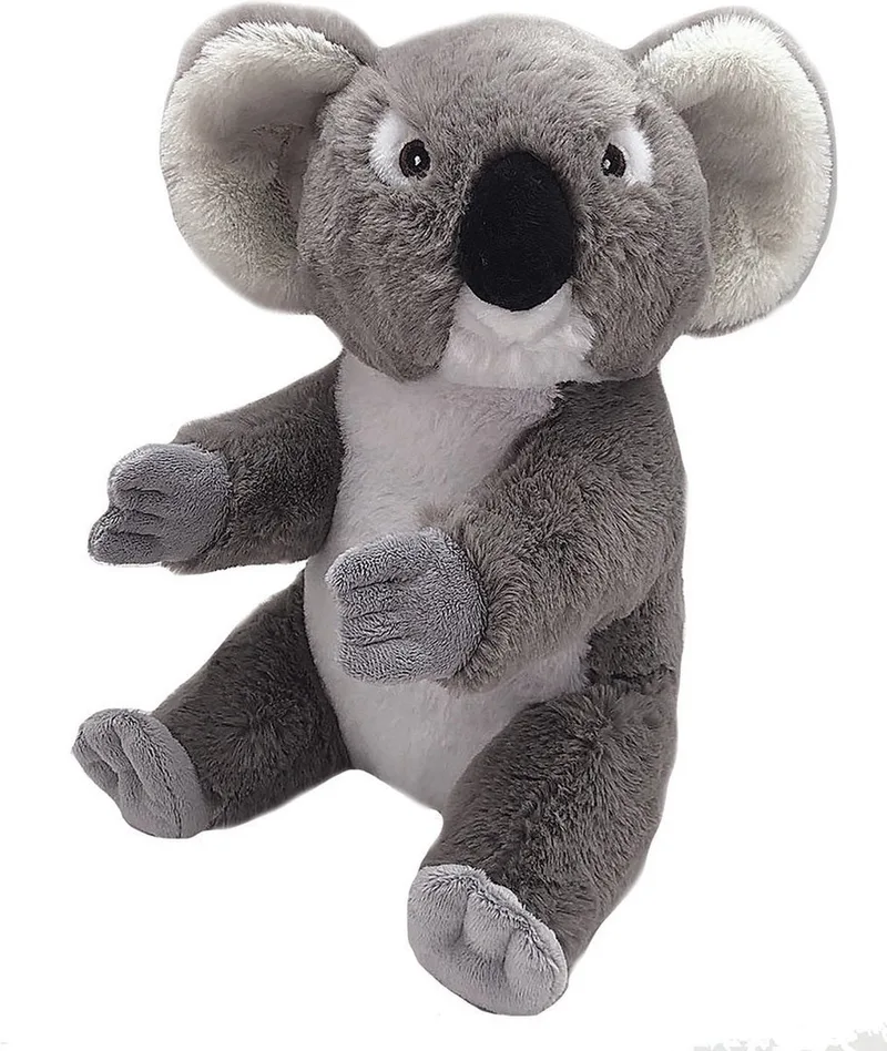 Ecokins: Koala - 20 cm pluche fra Wild Republic i Flerfarvet – produktbillede