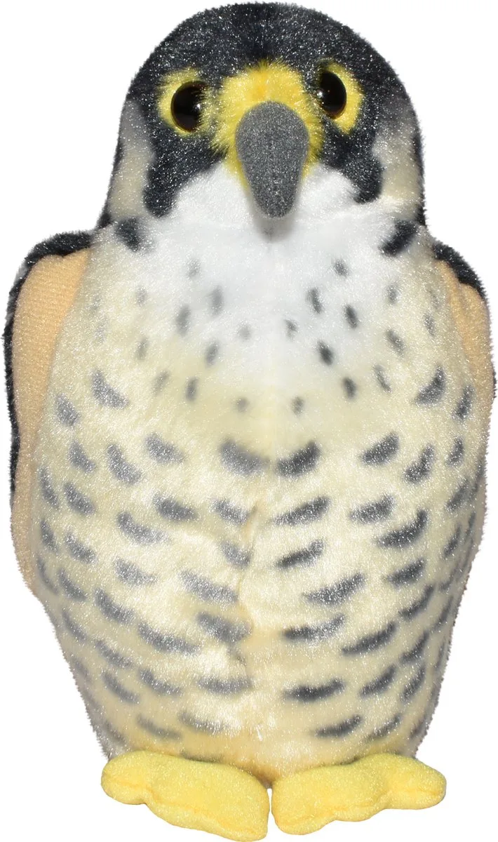 Knuffel - Slechtvalk - Knuffel met Geluid - 15 cm von Wild Republic in Mehrfarbig – Produktfoto