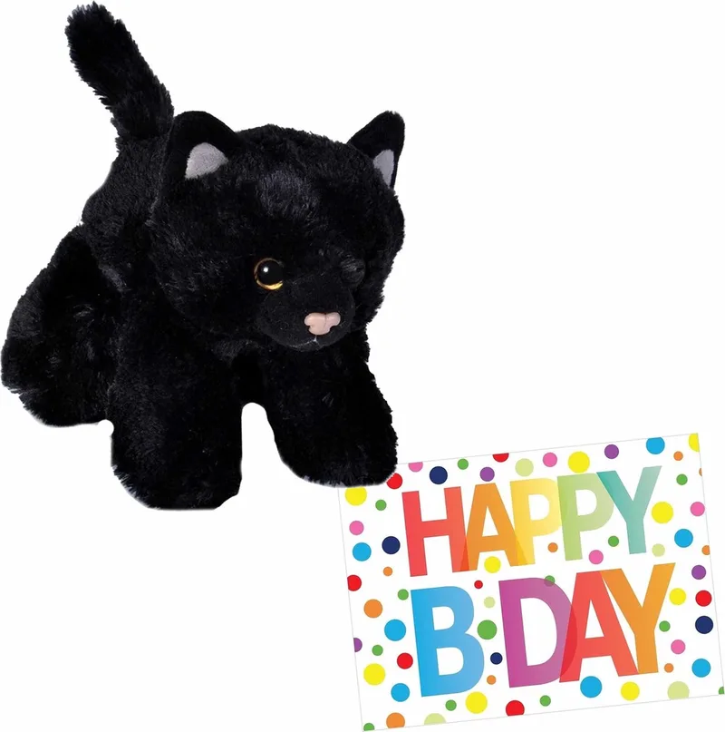 Pluche knuffel kat/poes - 18 cm - met A5-size Happy Birthday wenskaart - Verjaardag cadeau setje van Wild Republic in Zwart – productfoto