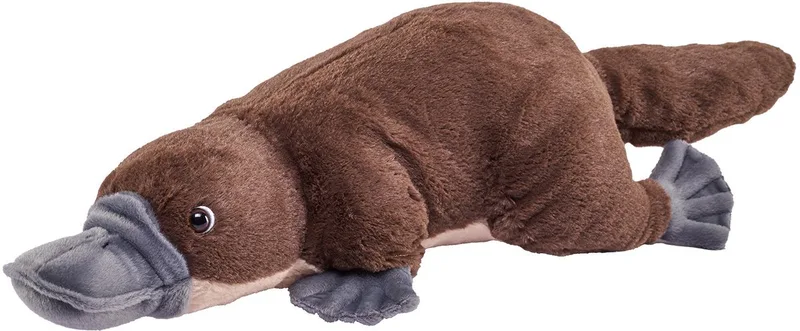 vogelbekdier knuffel - Pluche - 30 cm - knuffeldieren - vogelbekdieren van Wild Republic in Bruin – productfoto