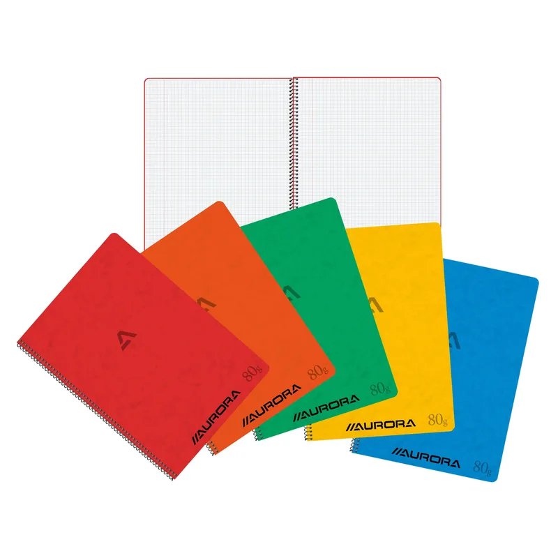 Schrift aurora a4 ruit 5x5mm 120pag 80gr ass | 10 stuks de Aurora – photo du produit