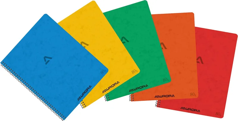 Writing 80 spiraalschrift, ft 21 x 16,5 cm, 120 bladzijden, commercieel geruit van Aurora – productfoto
