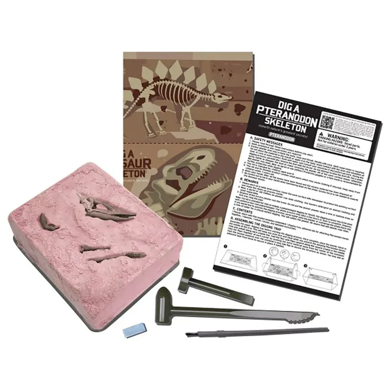 Graaf Je Dino Op - Pteranodon - Opgraafkit En Modelbouw Skelet - KidzLabs - 8 Jaar van 4M in Meerkleurig – productfoto 2 van 4