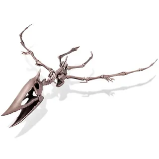 Graaf Je Dino Op - Pteranodon - Opgraafkit En Modelbouw Skelet - KidzLabs - 8 Jaar van 4M in Meerkleurig – productfoto 3 van 4