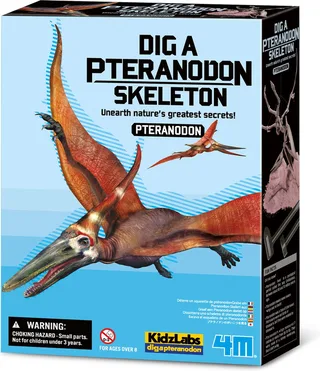 Graaf Je Dino Op - Pteranodon - Opgraafkit En Modelbouw Skelet - KidzLabs - 8 Jaar van 4M in Meerkleurig – productfoto 1 van 4