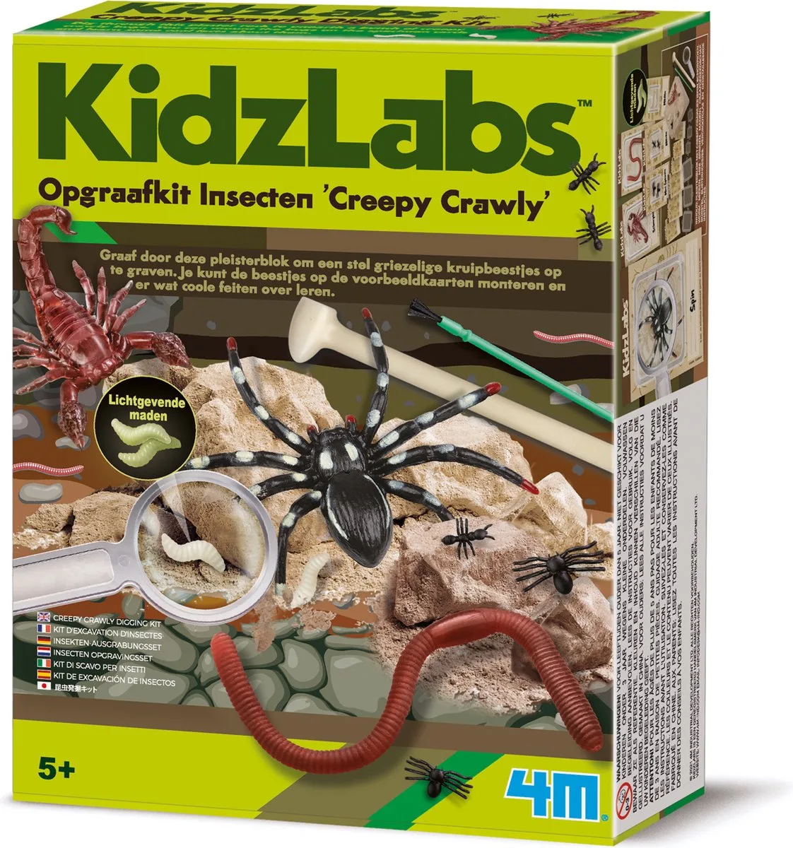 Opgraafkit - Insecten - Wetenschap En Spel - Biologie - Creepy Crawly - KidzLabs - 5 Jaar von 4M in Mehrfarbig – Produktfoto
