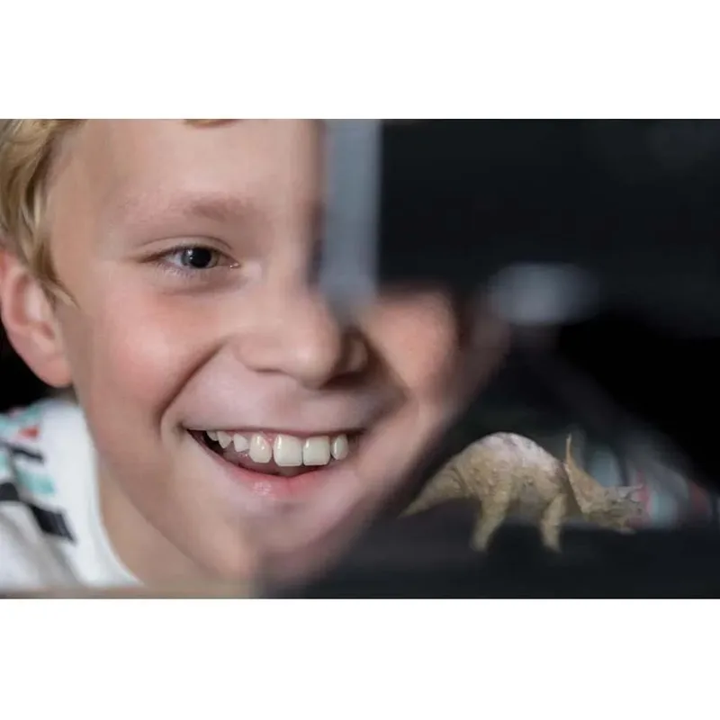 Wetenschap En Spel - Maak Een 3D-Hologram Projector - 8 Sjablonen - Bouwpakket - KidzLabs - 8 Jaar van 4M in Meerkleurig – productfoto 5 van 5