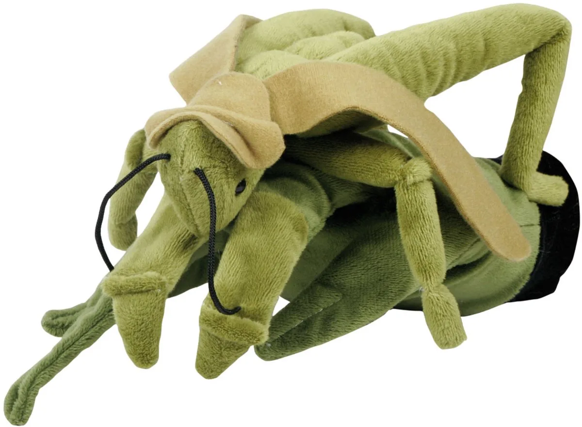 Sprinkhaan Speelhandschoen - Handpop van Beleduc in Groen – productfoto