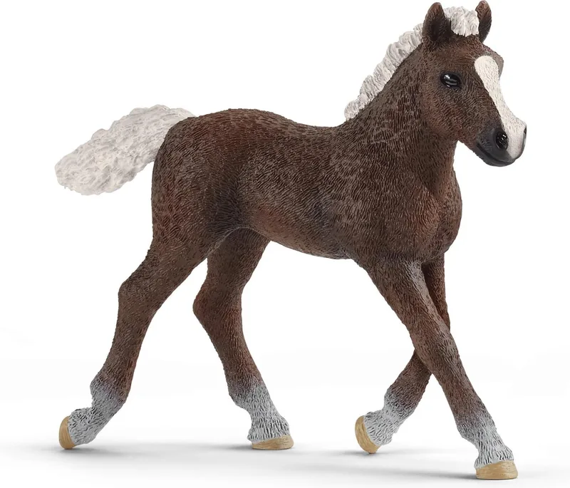 13899 Black Forest Foal de Schleich – photo du produit