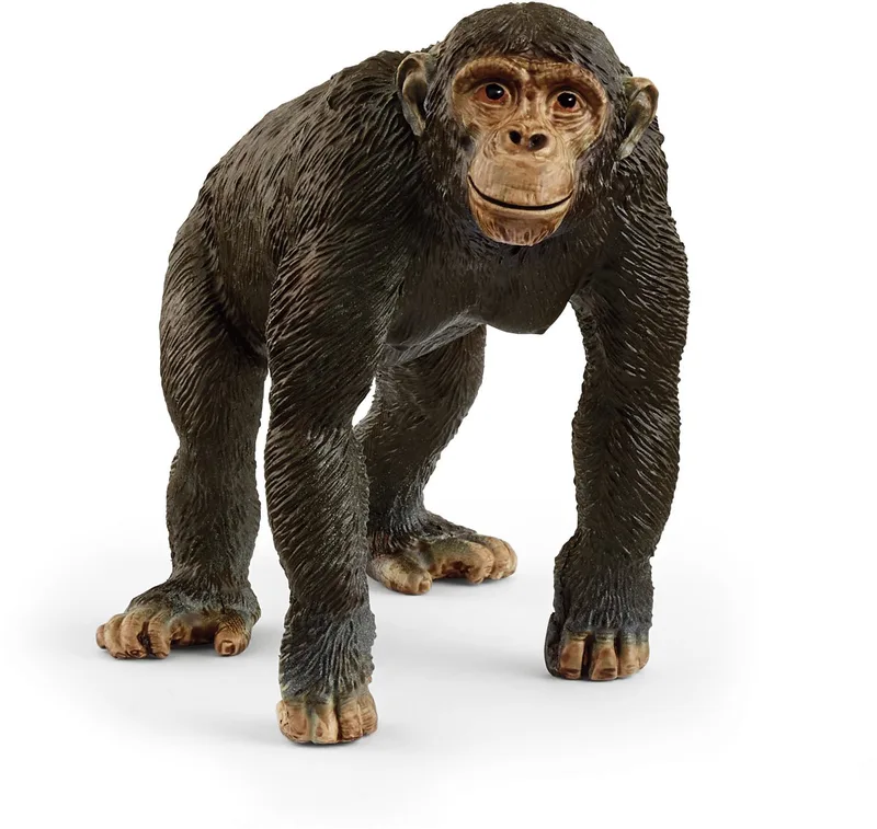 14883 Chimpanzee de Schleich – photo du produit