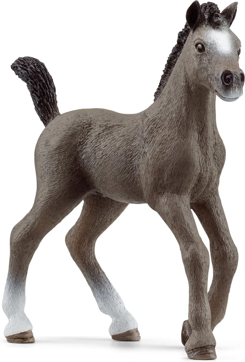13957 Selle Français Foal från Schleich – produktbild