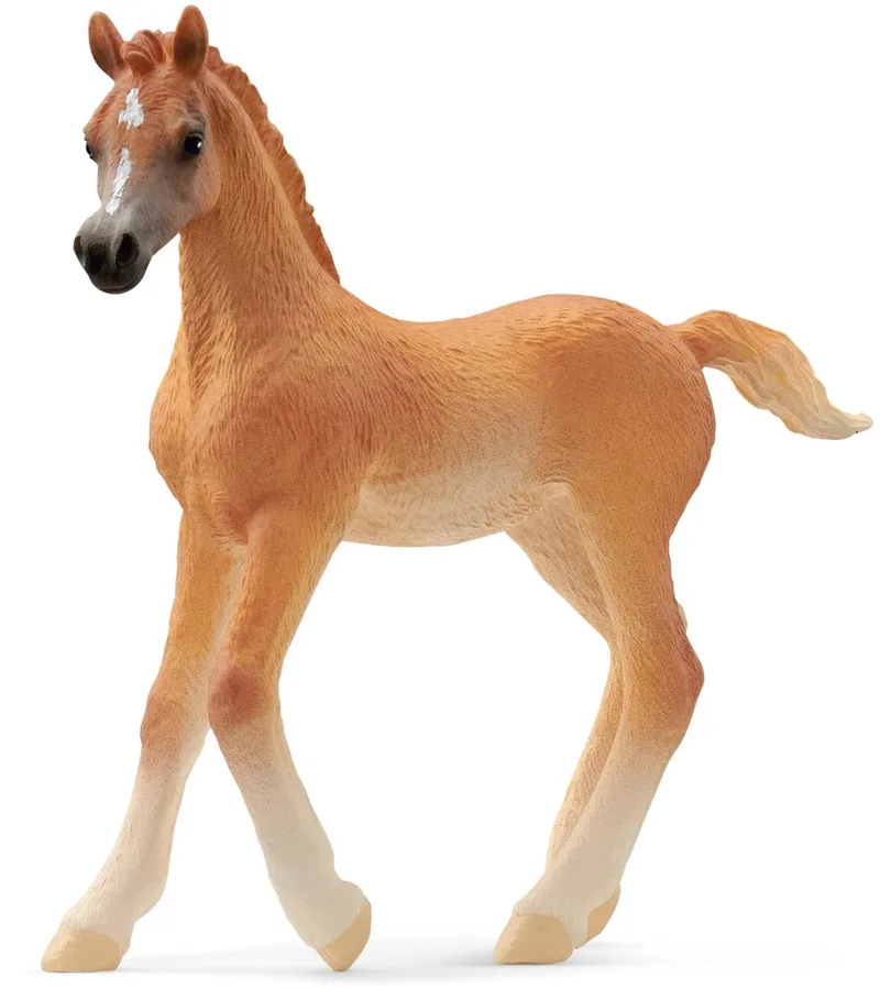 13984 Arabian Foal de Schleich – photo du produit