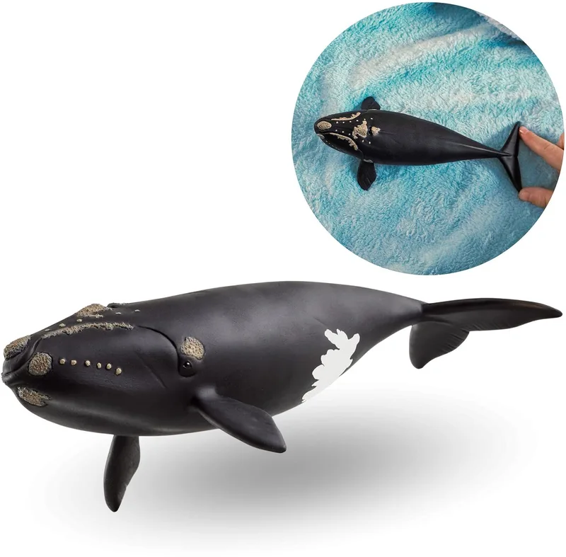14878 North Atlantic Right Whale de Schleich – photo du produit
