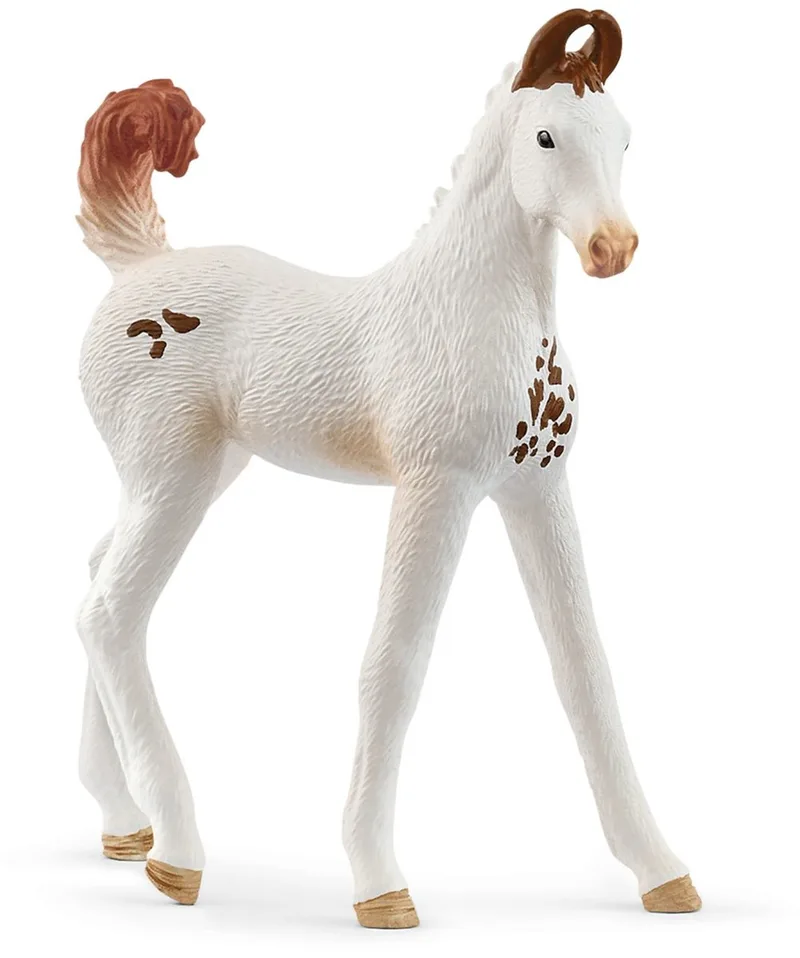 14896 Marwari Foal by Schleich – product photo