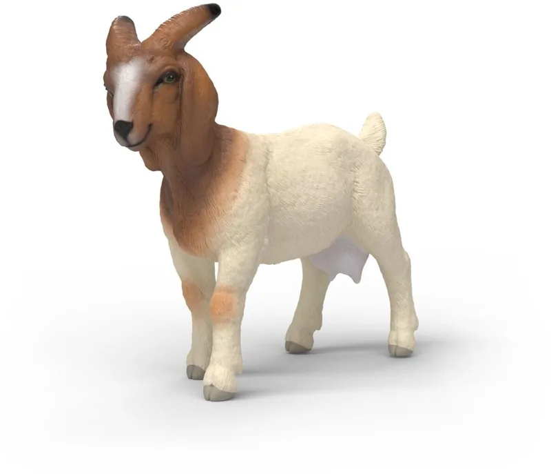14929 Boer Goat de Schleich – photo du produit