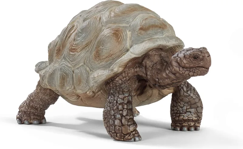 14824 Giant tortoise de Schleich – photo du produit