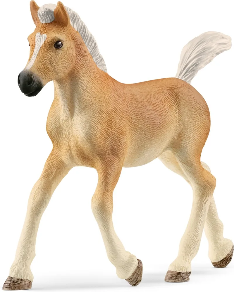 13951 Haflinger Foal från Schleich – produktbild