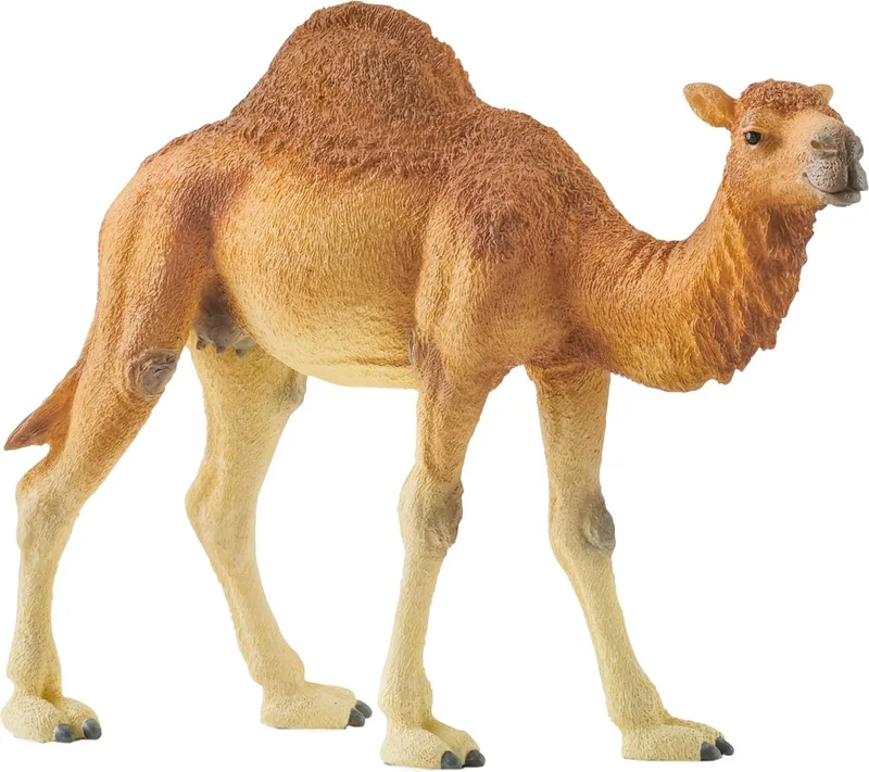 14832 Dromedary by Schleich – product photo