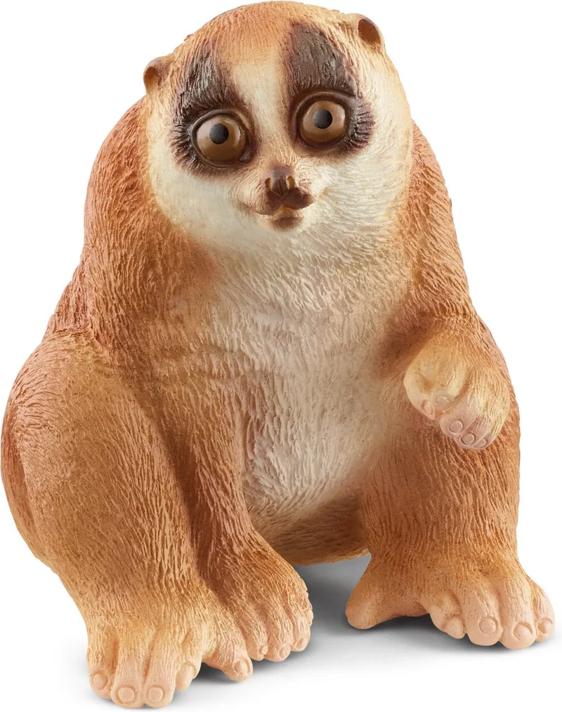 14852 Slow Loris de Schleich – photo du produit