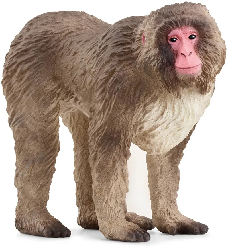14871 Japanese Macaque de Schleich – photo du produit