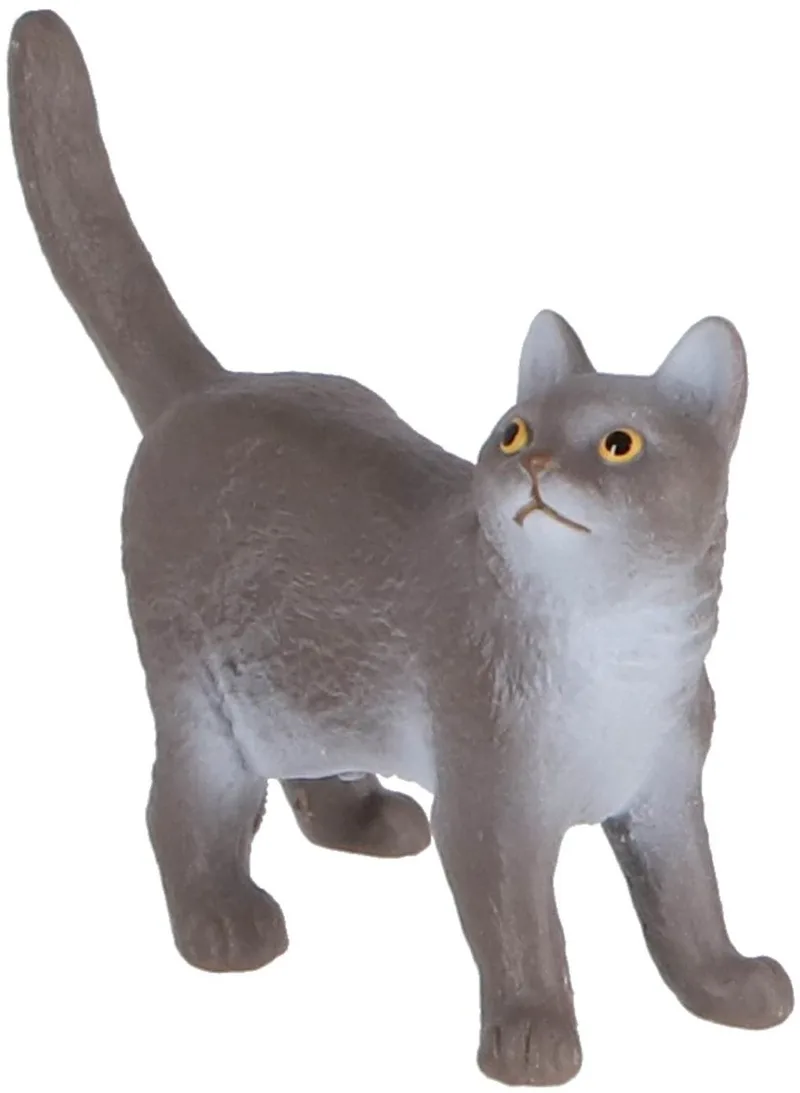 13973 British Shorthair Cat by Schleich – product photo