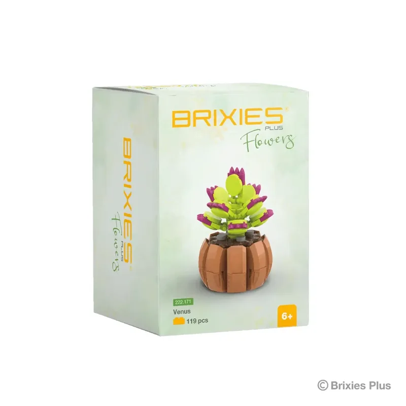 Plus Mini Blume "Venus" van Brixies – productfoto