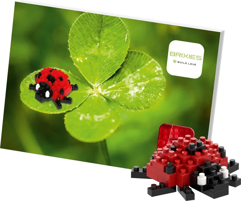 Postkaart Lieveheersbeestje- Brixies- Bouwsteentjes by Brixies in Rood – product photo