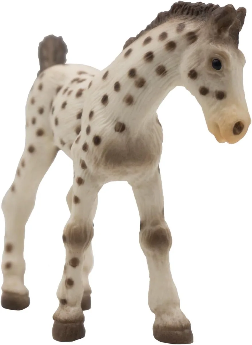 Bullyland 62673 – Speelfiguur en verzamelfiguur Knabstrupper Veulen – ca. 7 cm – levensecht en detailrijk vormgegeven – ideaal als educatief speelfiguur en klein cadeautje voor kinderen vanaf 3 jaar. von Bullyland in Paard Knabstrupper Veulen – Produktfoto