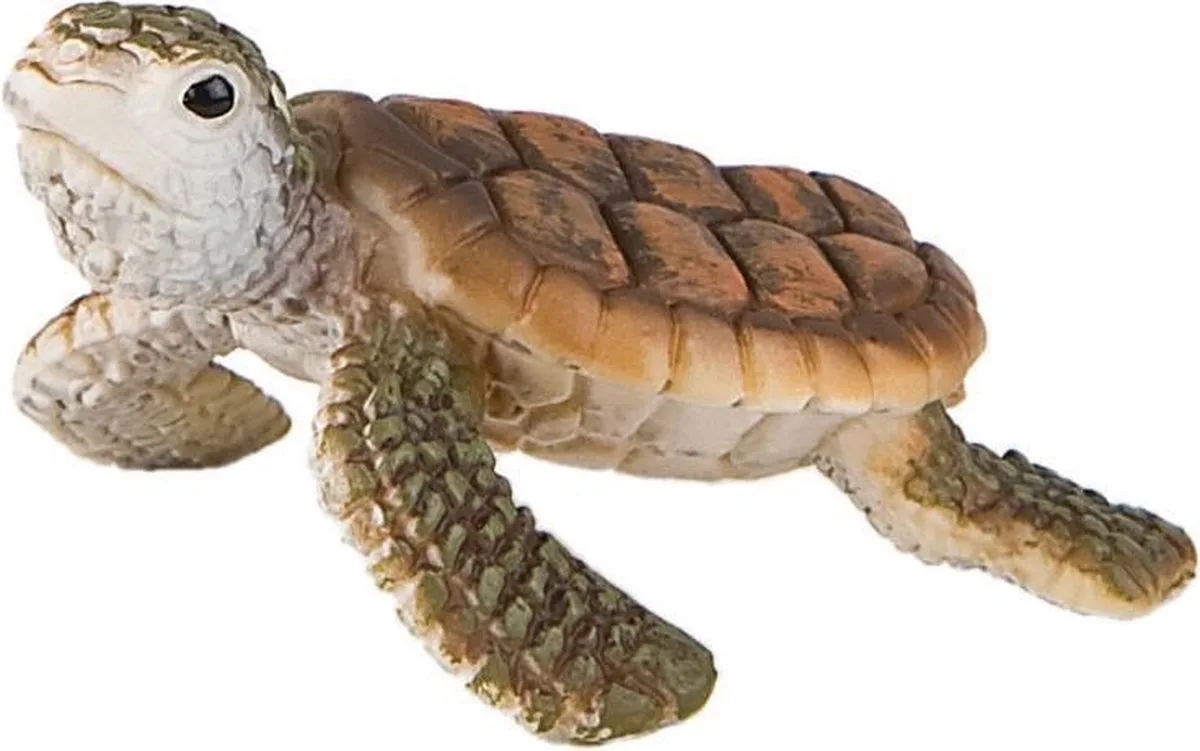 Bullyland 63569 – Speelfiguur en verzamelfiguur Jonge Zeeschildpad – ca. 4,5 cm – levensecht en detailrijk vormgegeven – ideaal als educatief speelfiguur en klein cadeautje voor kinderen vanaf 3 jaar. van Bullyland in Zeeschildpand – productfoto
