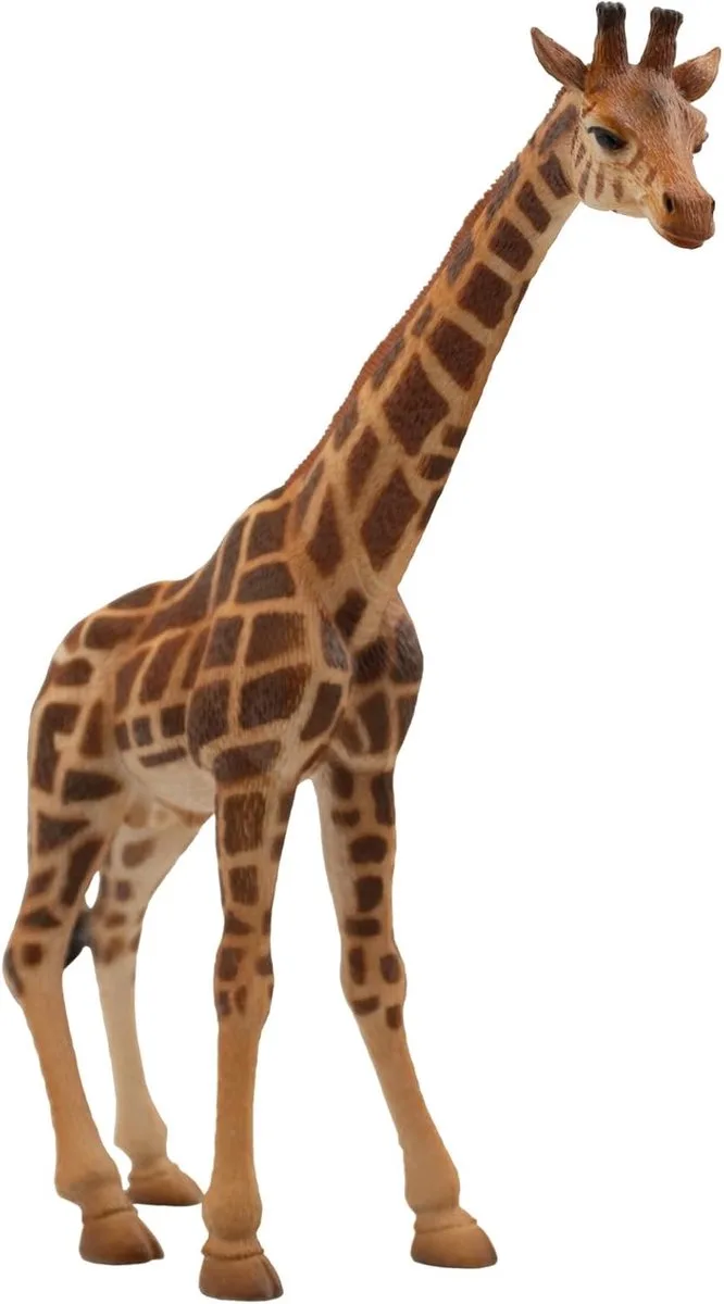 Bullyland 63710 – Speelfiguur – ca. 20cm – levensecht en detailrijk vormgegeven – ideaal als educatief speelfiguur, decoratie of klein cadeautje voor kinderen vanaf 3 jaar de Bullyland en Giraf – photo du produit