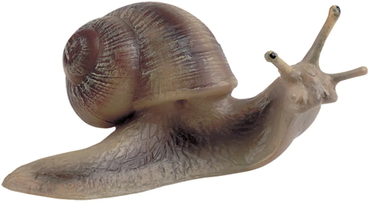 Bullyland 64375 – Speelfiguur en vBullyland 64375 – Speelfiguur en verzamelfiguur Wijngaardslak – ca. 3 cm – levensecht en detailrijk vormgegeven – ideaal als educatief speelfiguur en klein cadeautje voor kinderen vanaf 3 jaar. från Bullyland i Flerfärgad – produktbild