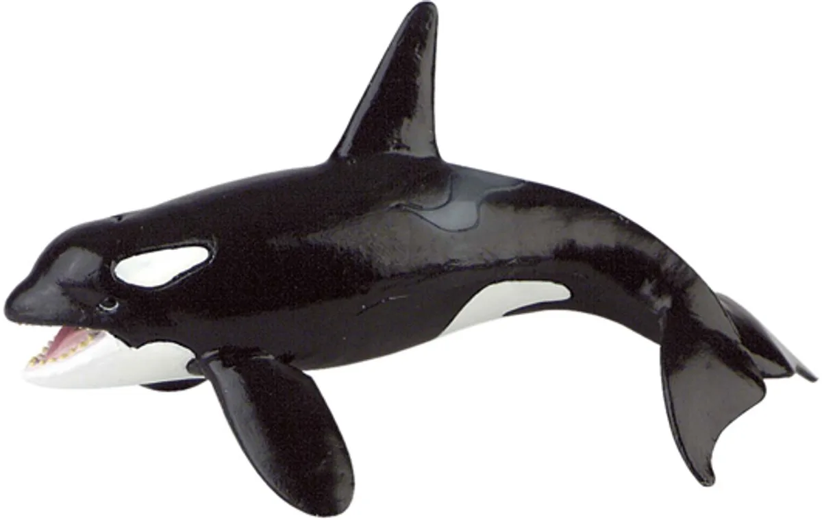 Bullyland 67409 – Speelfiguur en verzamelfiguur – ca. 17 cm – levensecht en detailrijk vormgegeven – ideaal als educatief speelfiguur en cadeau voor kinderen vanaf 3 jaar. by Bullyland in Orka – product photo