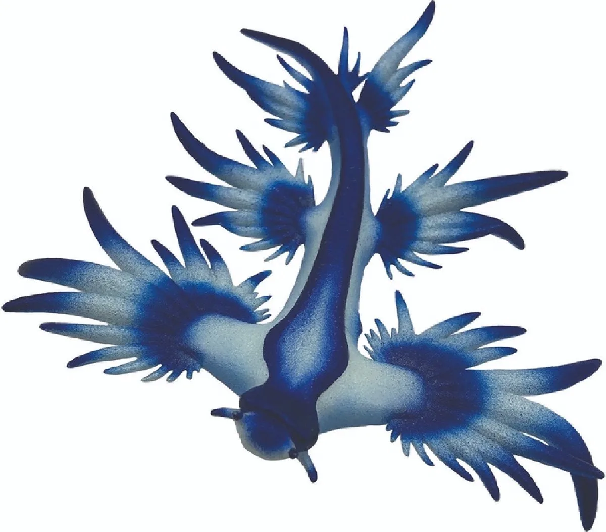 Bullyland 67511 – Speelfiguur en verzamelfiguur Blauwe – ca. 4 cm – levensecht en detailrijk vormgegeven – ideaal als educatief speelfiguur en klein cadeautje voor kinderen vanaf 3 jaar. de Bullyland en Zeeslak – photo du produit